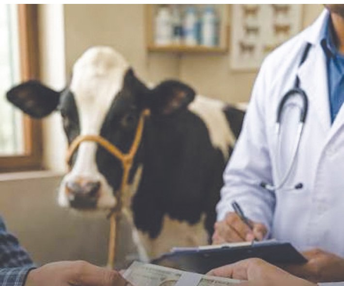 CID traces alleged Rs 11-crore money trail in Karnataka veterinary officer recruitment scam