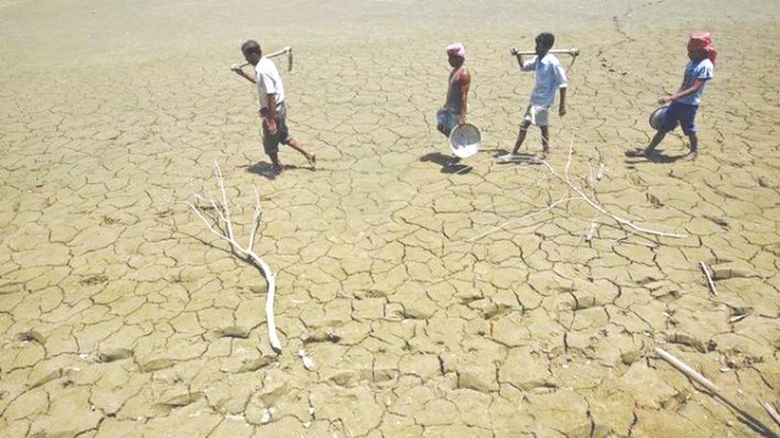 Maharashtra Declares Drought in 265 Tehsils Amid Deficient Rainfall