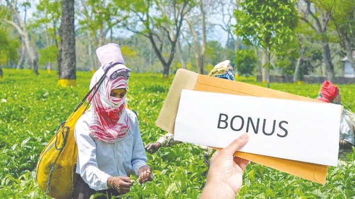 Bonus Crisis Casts Shadow Over Durga Puja in Dooars Tea Gardens