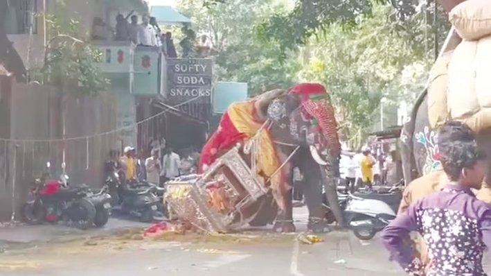 Elephant Runs Amok During Shivamogga Dasara Procession; Silver Howdah Falls