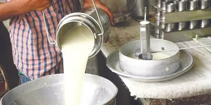 Karnataka milk price hike puts Congress government on the defensive